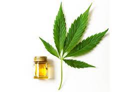 Learn About CBD Effect In The Treatment Of Nausea