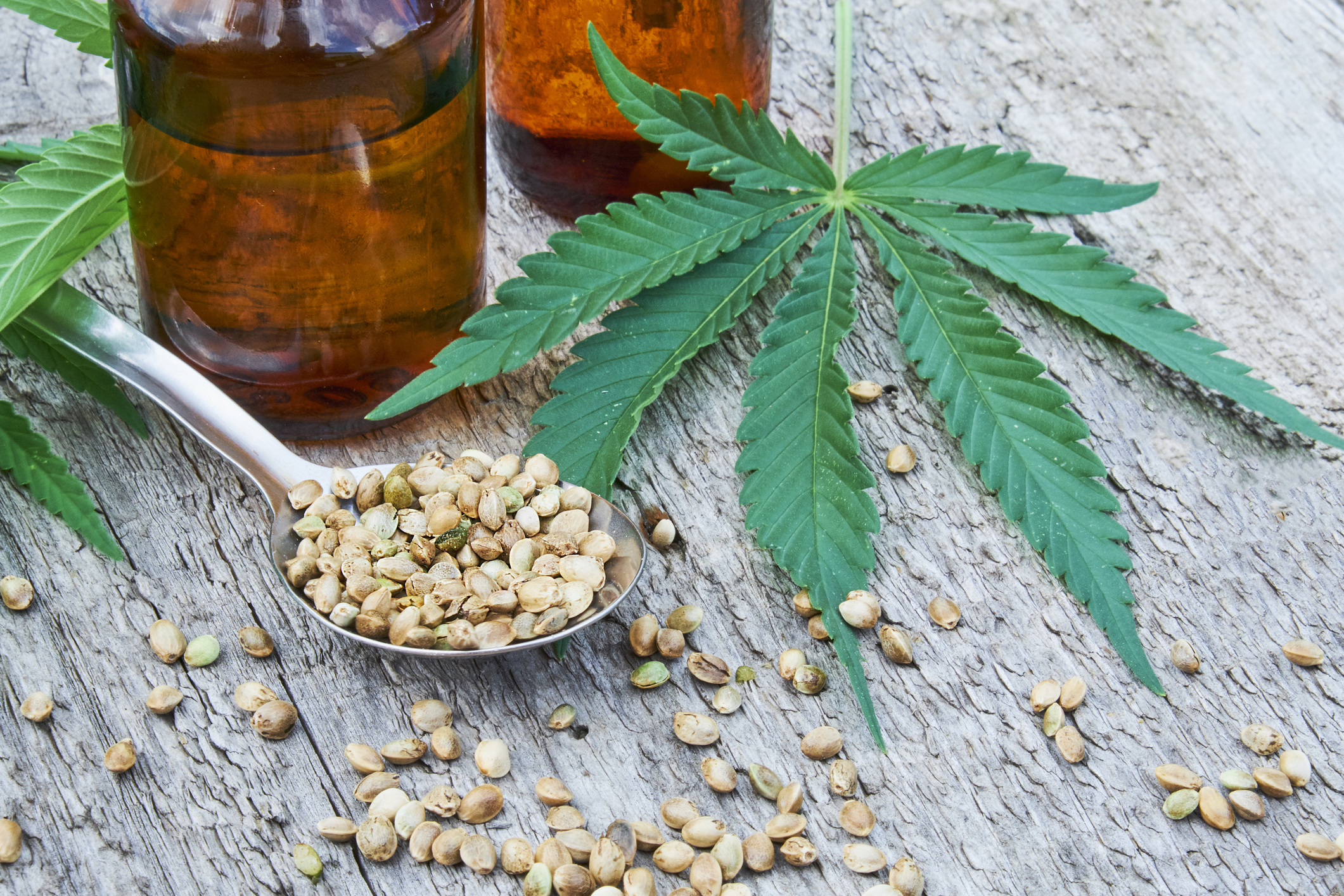 How is the THC-Free CBD therapy beneficial for patients?