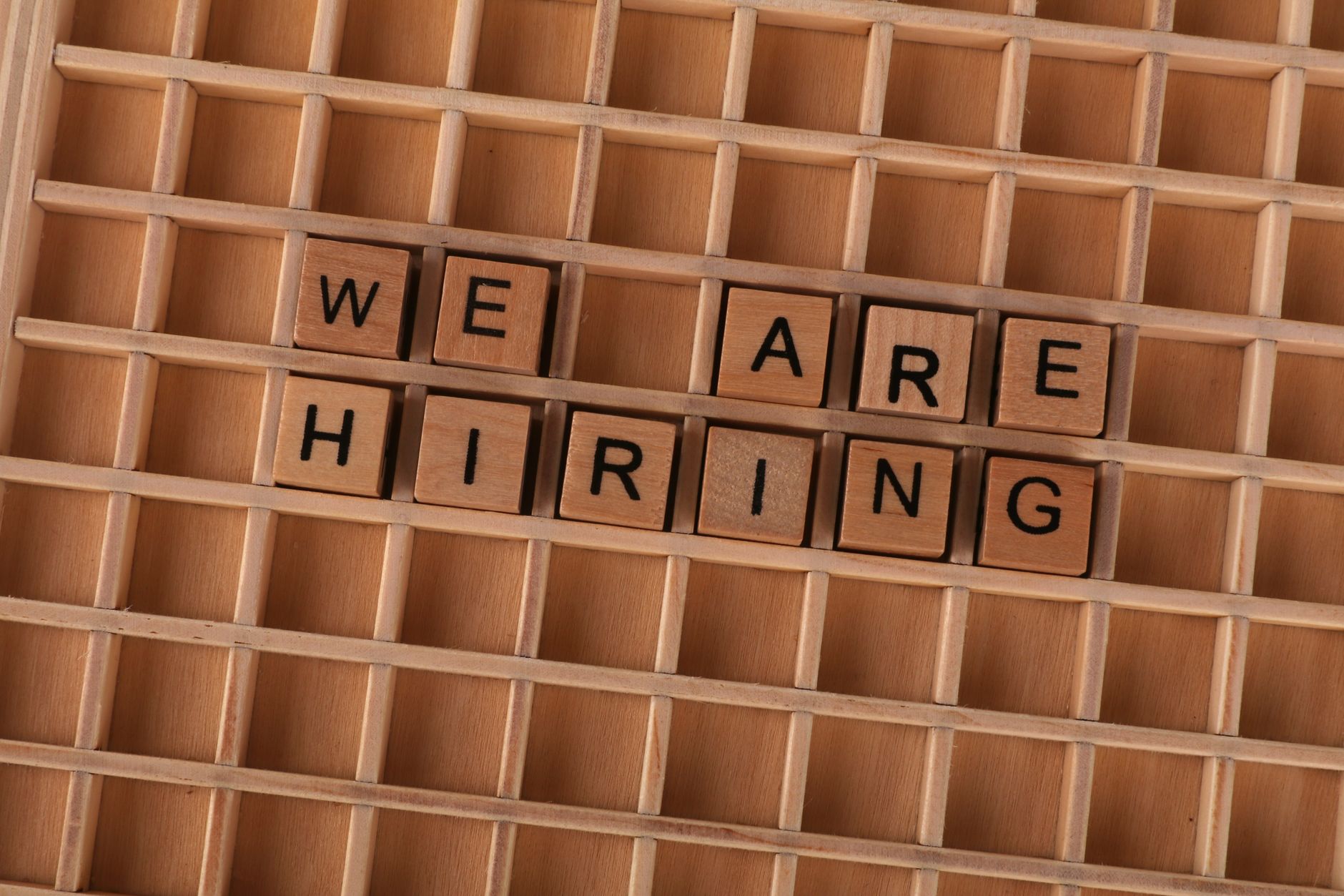 TCS hiring rebound